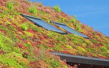 Pitney living roof systems
