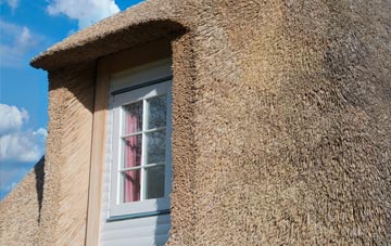 Pitney thatch roof disadvantages