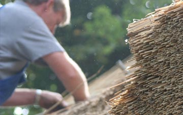 professional Pitney thatchers